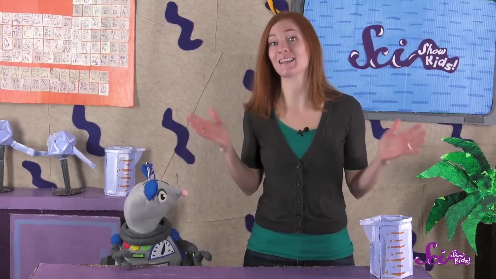 The Problem With Pandas | Animal Science for Kids