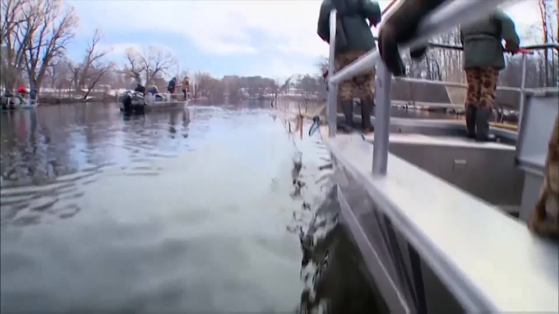 Restoring the Great Lakes Sturgeon population