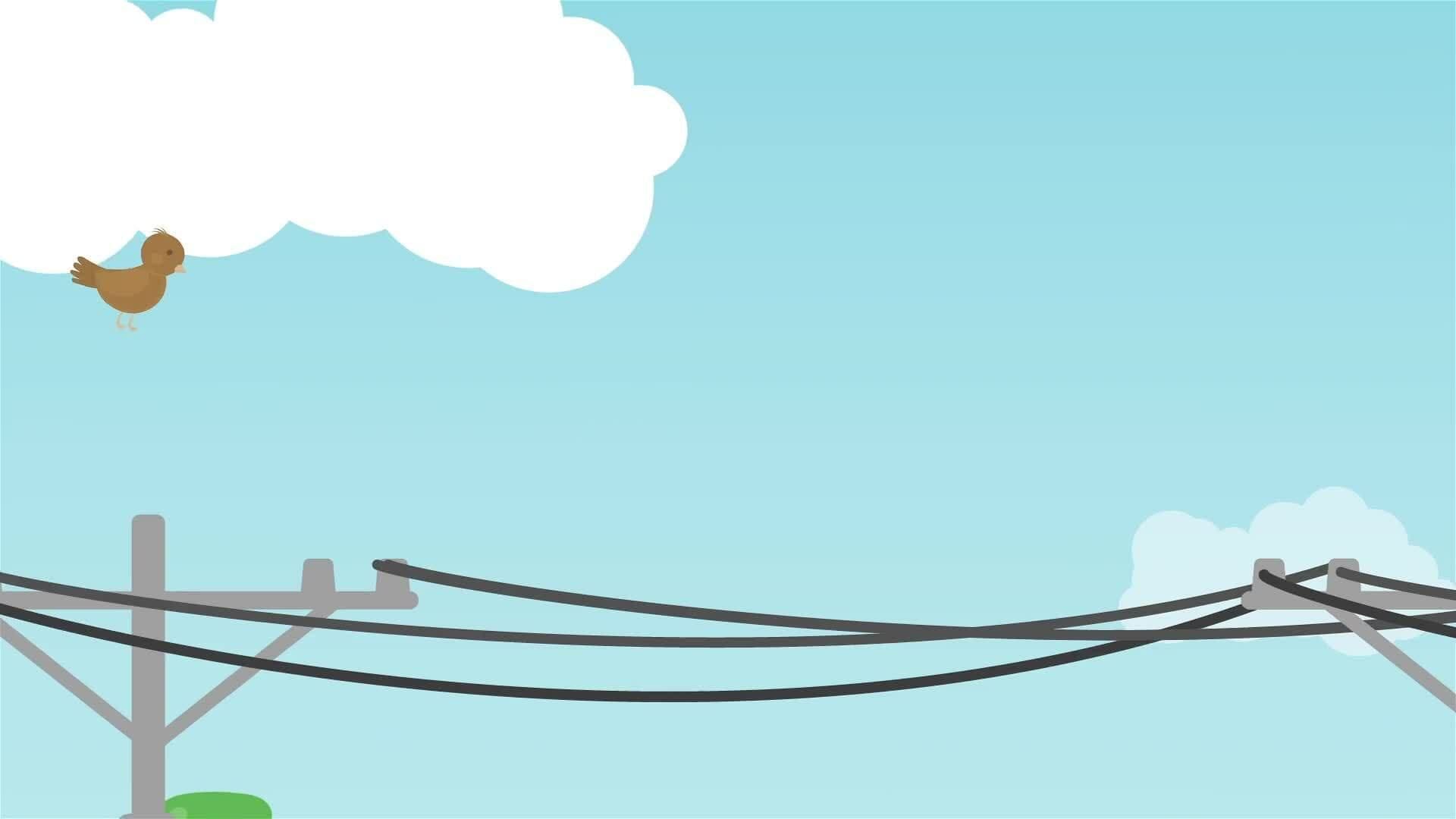 I WONDER - How Can Birds Sit On Power Lines?