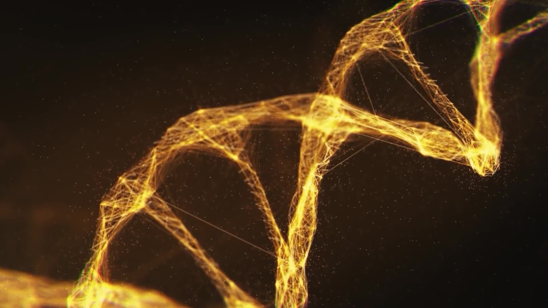 High Five Facts - Enzymes
