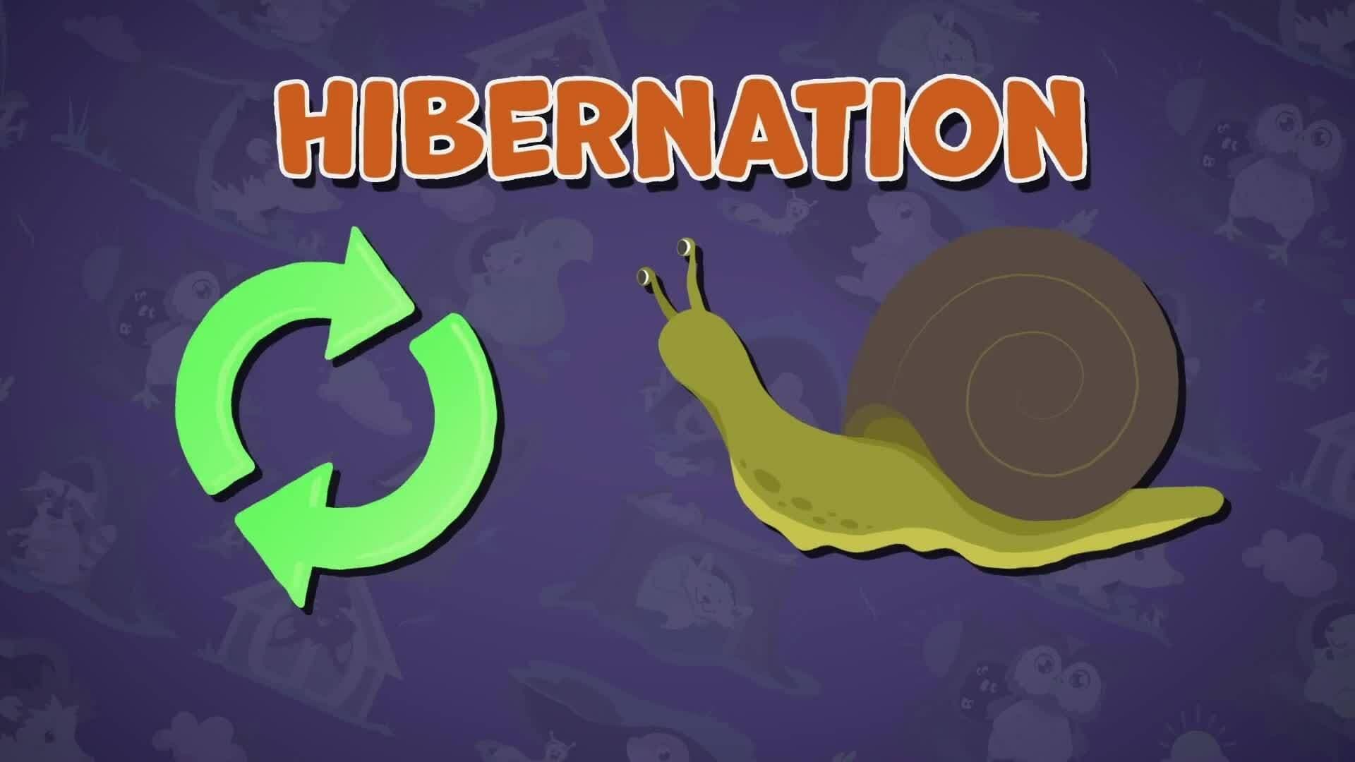 I WONDER - What Happens To Animals When They Hibernate?