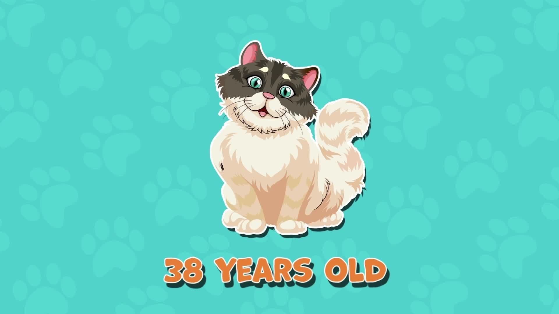 Cat Facts for Kids