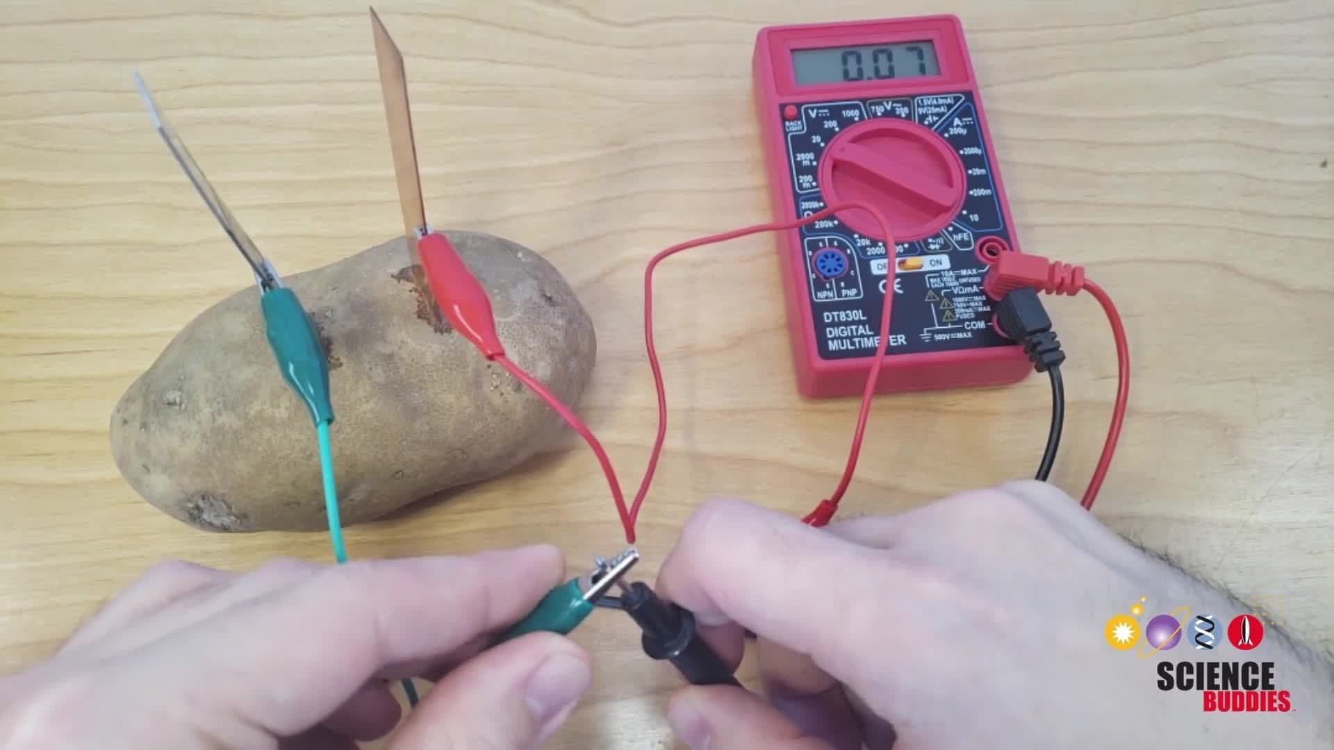 Potato Battery Science Experiment