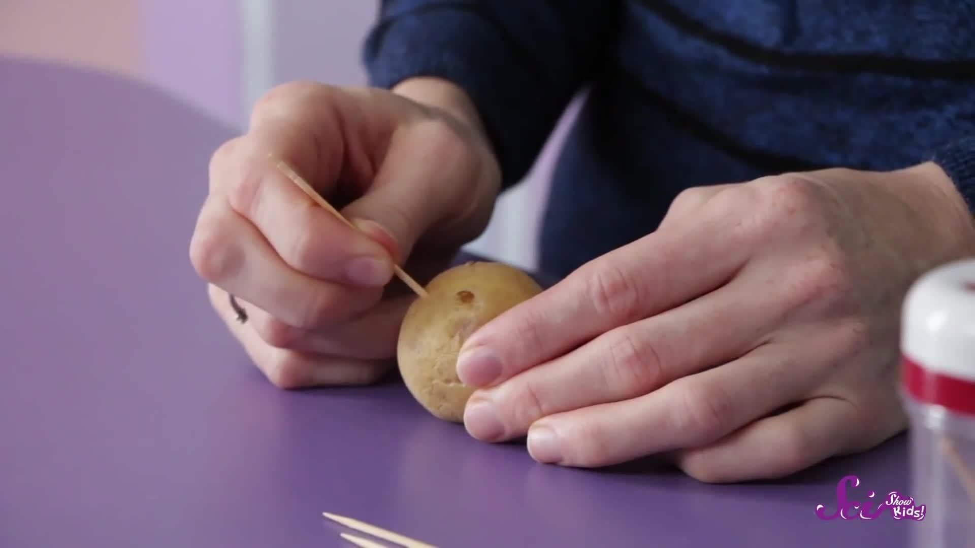 Grow Your Own Potatoes!