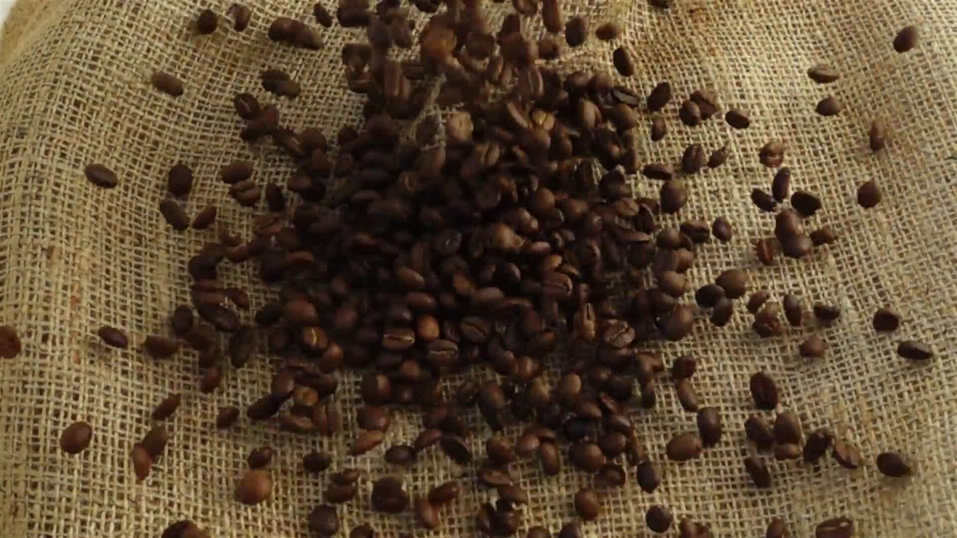 I WONDER - What Are The Different Types Of Coffee Beans?