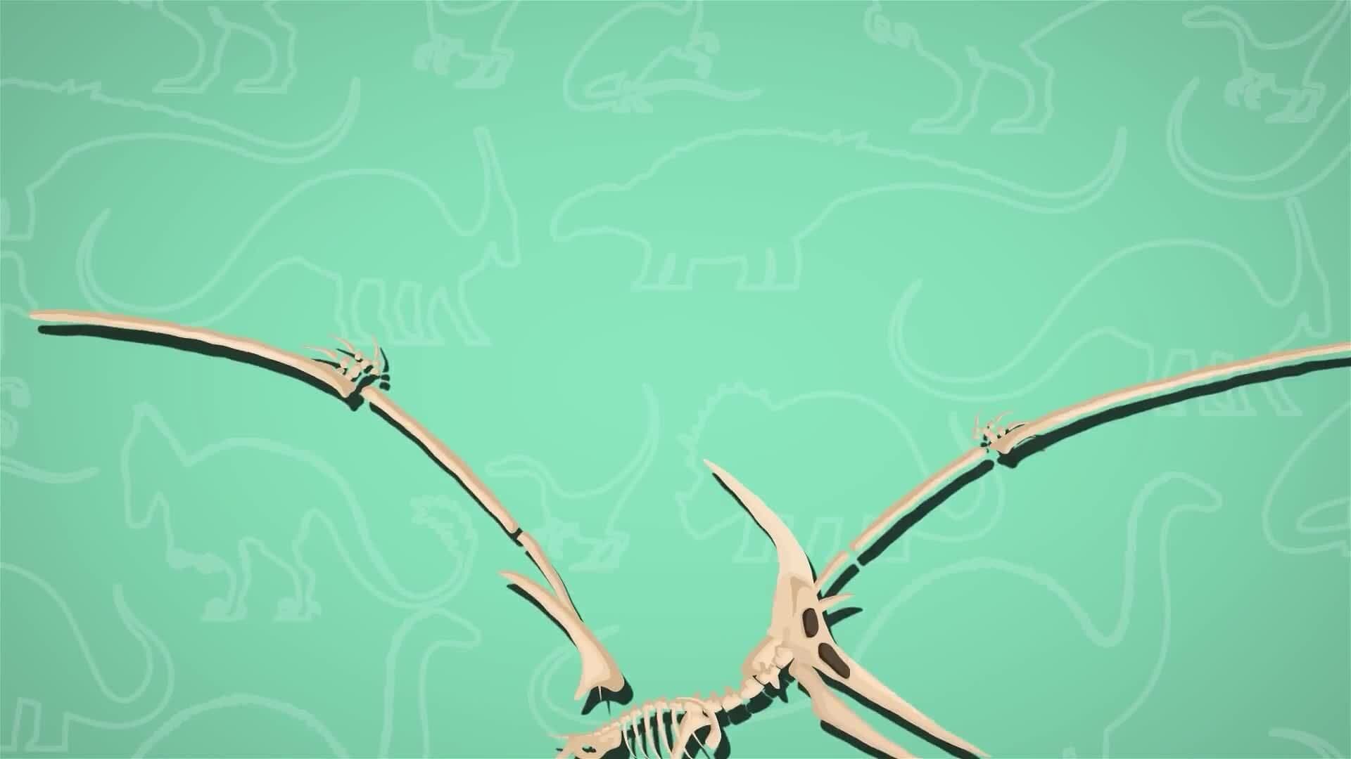 I WONDER - Why Did The Pteranodon Have A Crest?
