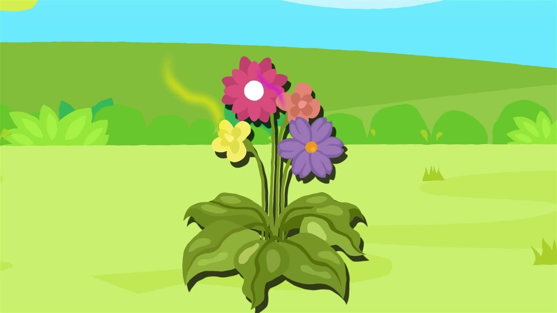 I WONDER - How Do Flowers Attract Pollinators?
