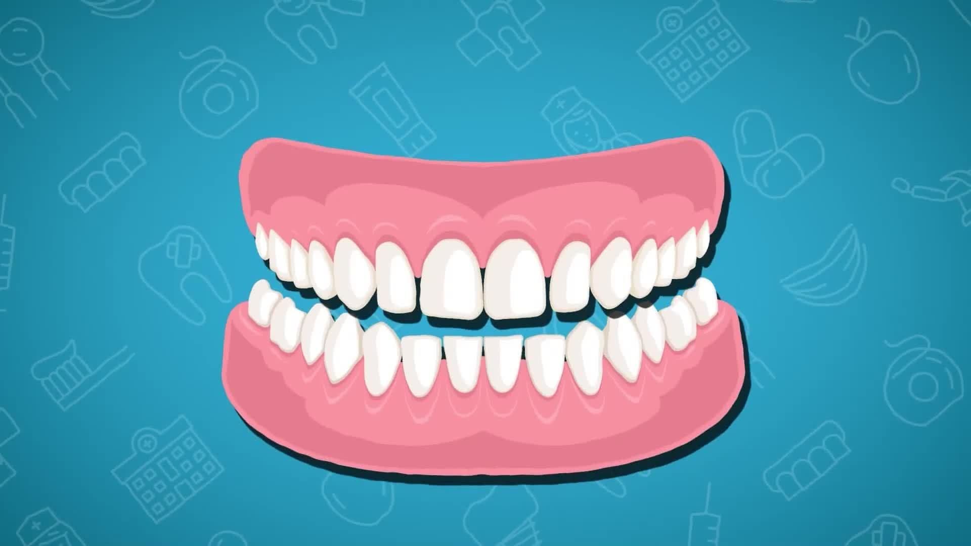 Five Facts - Teeth