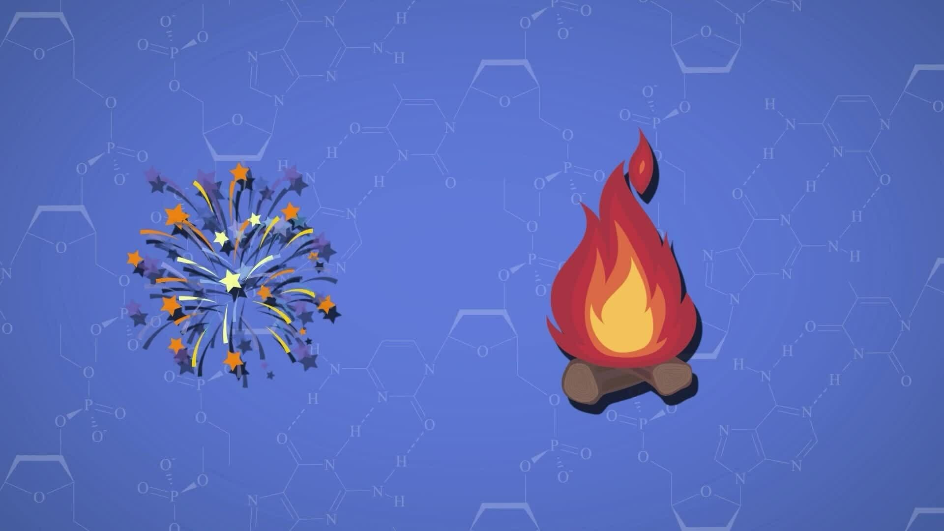 I WONDER - Do Chemical Reaction Affect Energy?