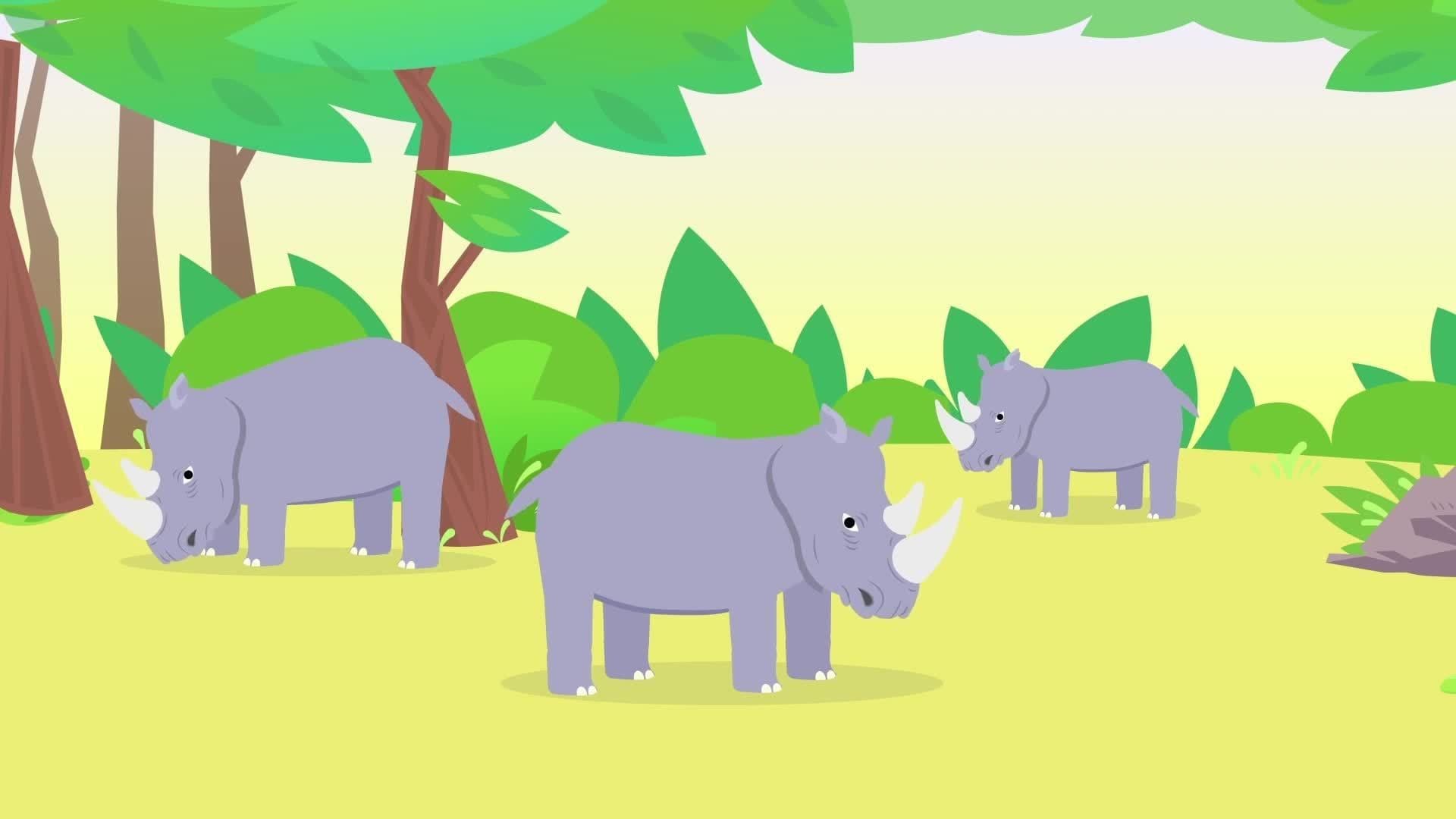 Rhino Facts