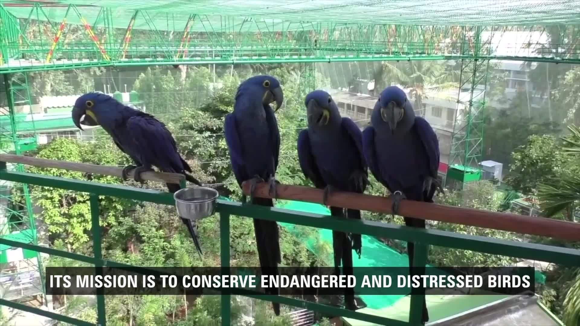 Most Bird Species in an Aviary