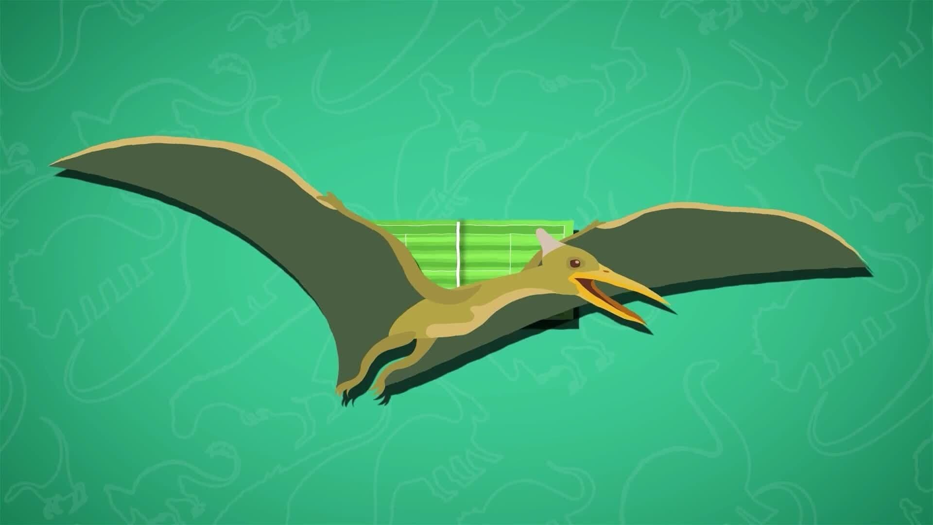 I WONDER - How Big Were The Pteranodon's Wings?