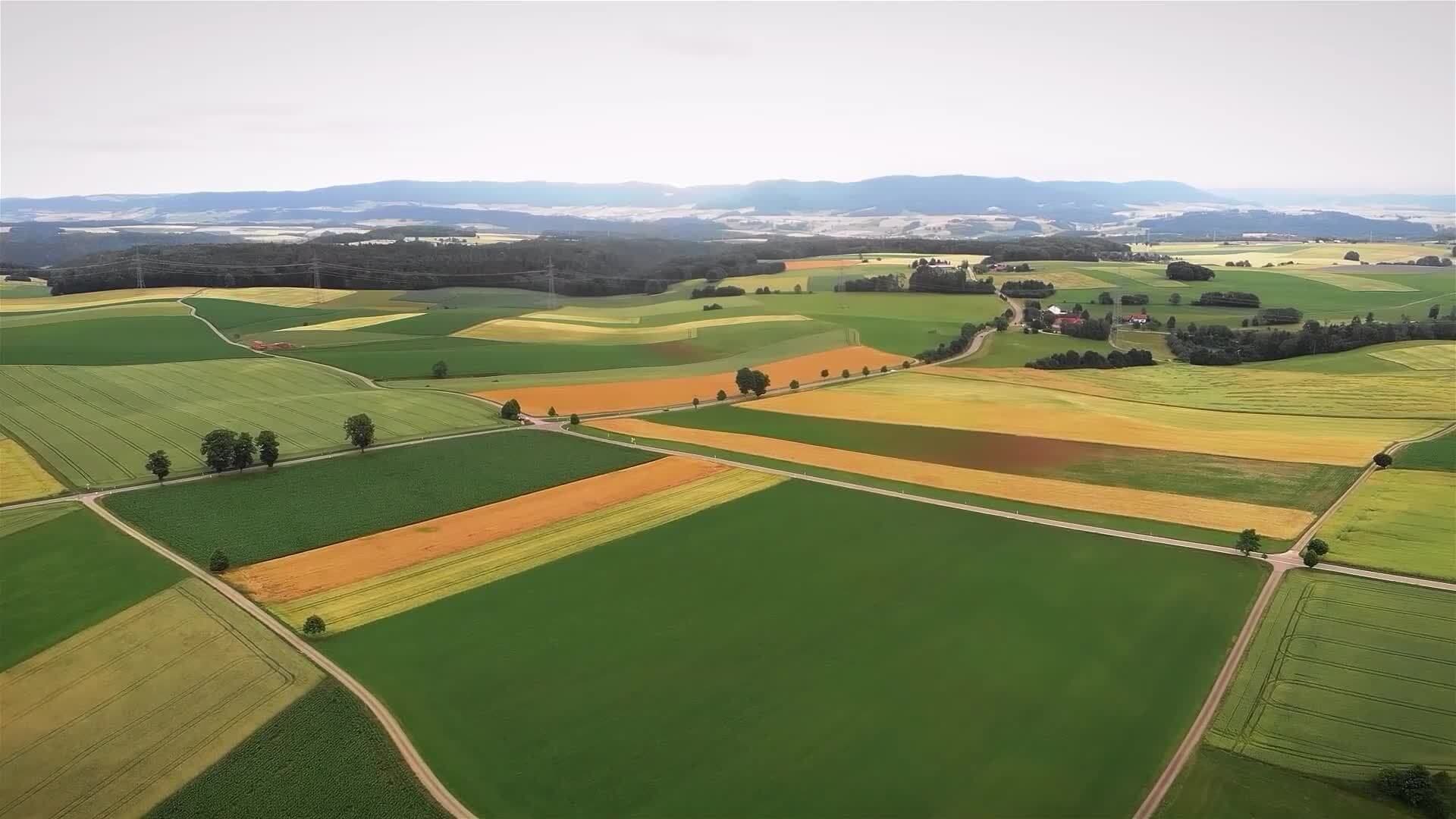 I WONDER - Why Do Farmers Grow Different Crops?