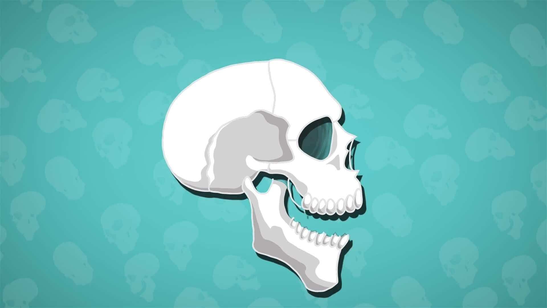 I WONDER - Can Any Bones In The Skull Move?