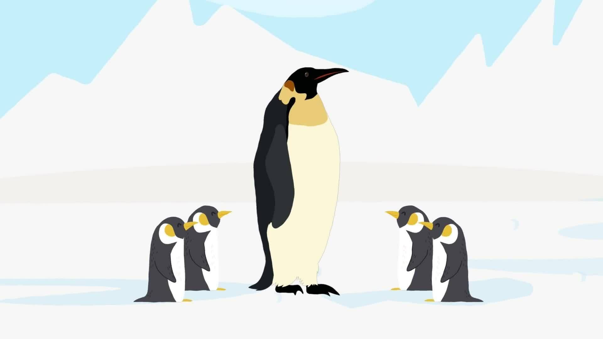High Five Facts - Antarctica