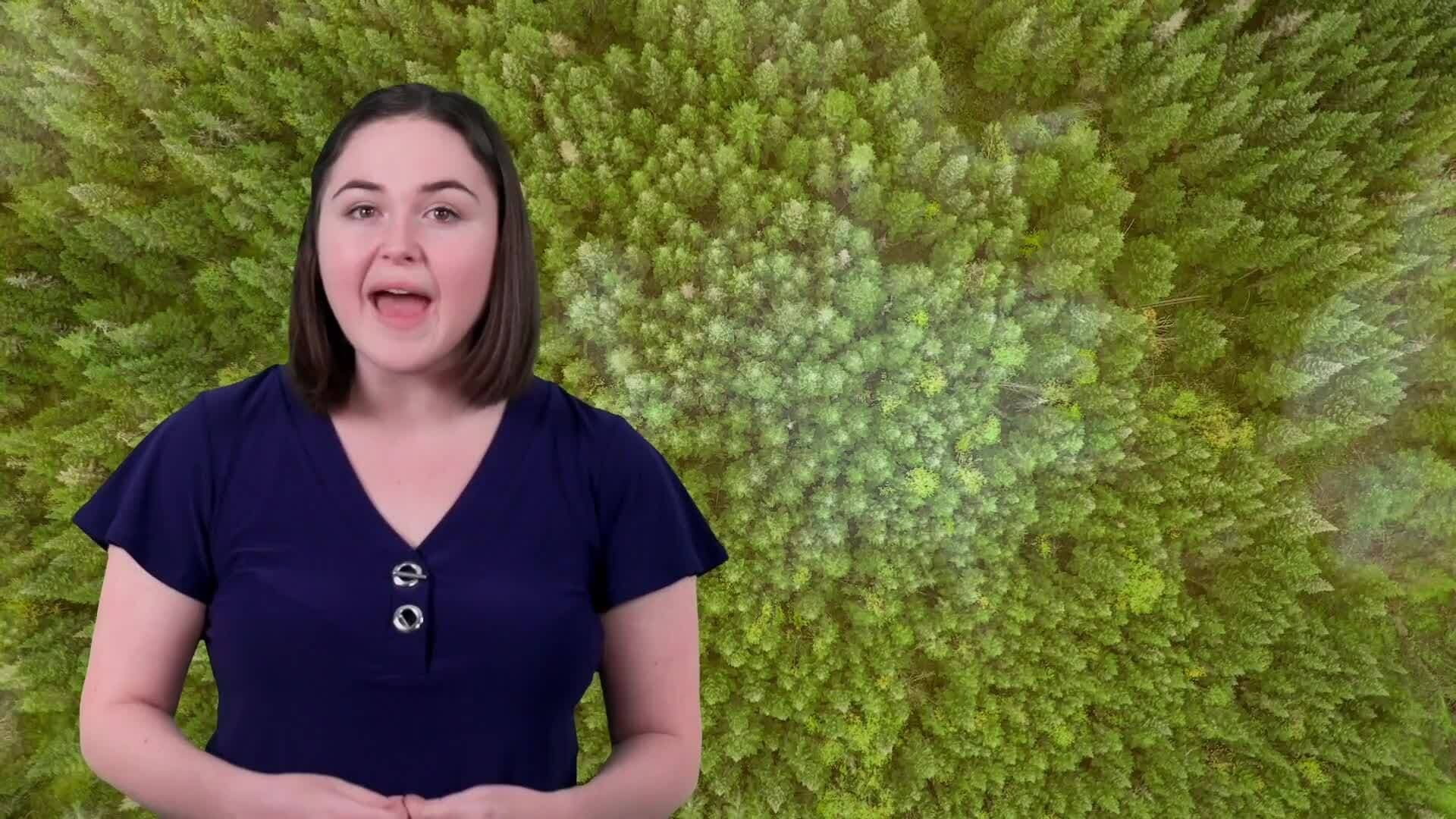 Hibernation: Nature's Winter Survival Strategy