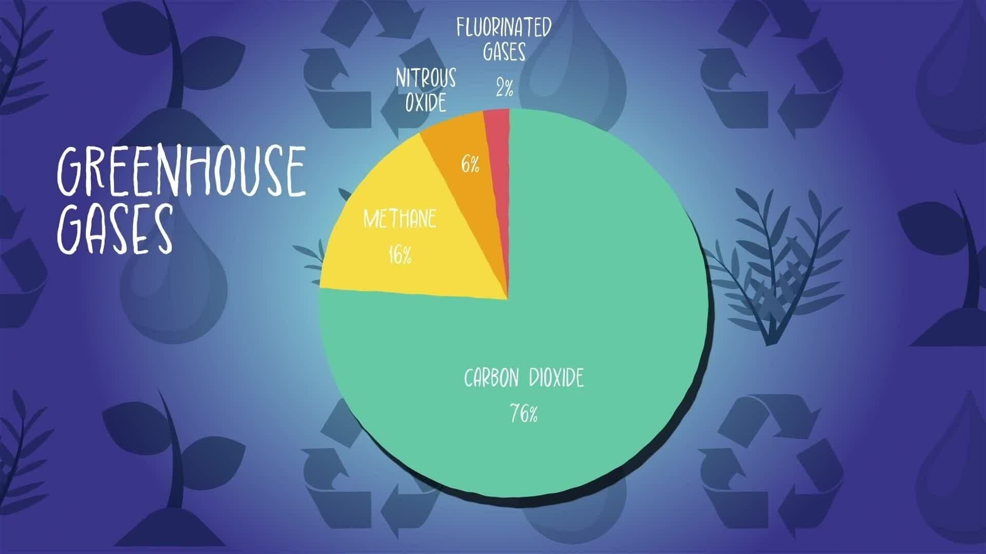 I WONDER - How Is Carbon Dioxide Taken Out Of The Air?