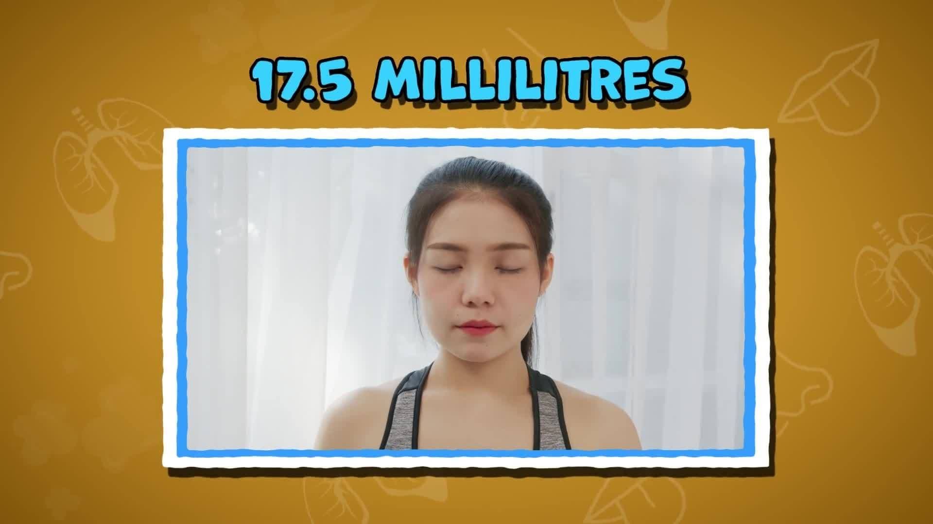 Five Facts - Lungs