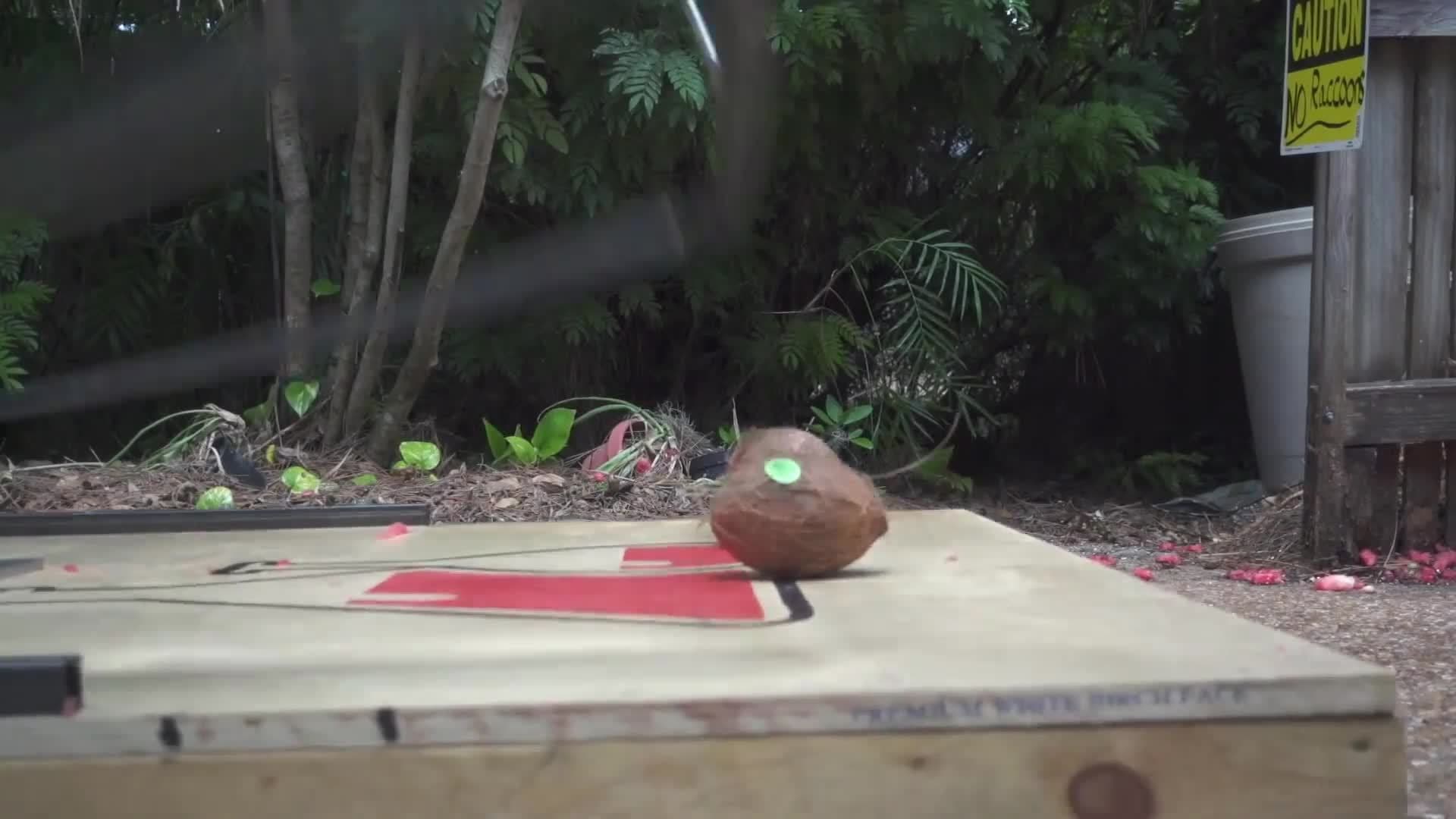 Giant Mouse Trap [Smashes Everything]