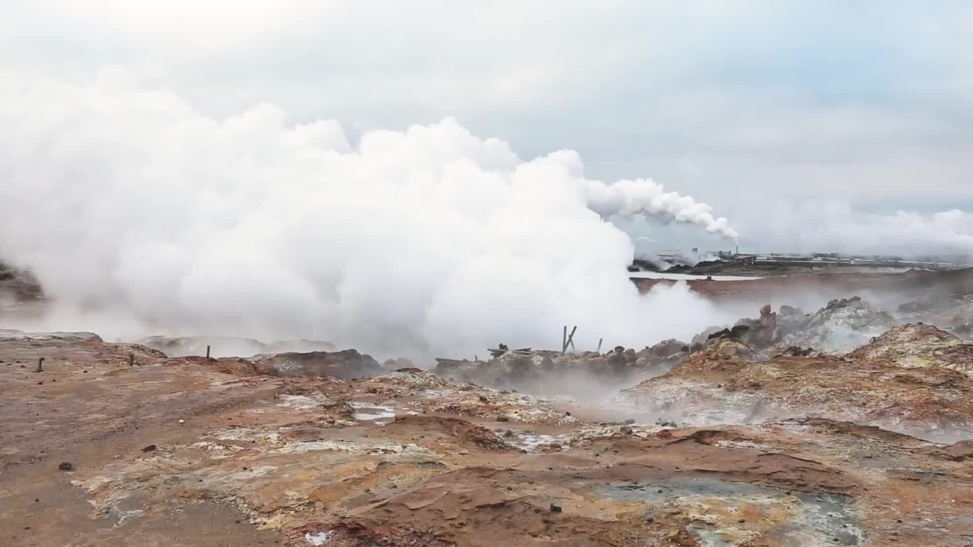 I WONDER - Why Do Ecosystems Need Water?