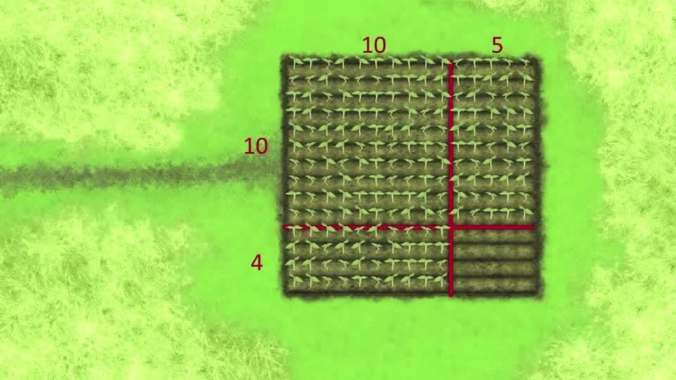 Area Model