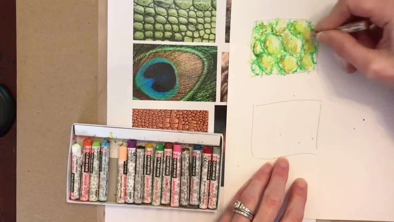Layering Oil Pastels for Realistic Textures, Colors, and Values