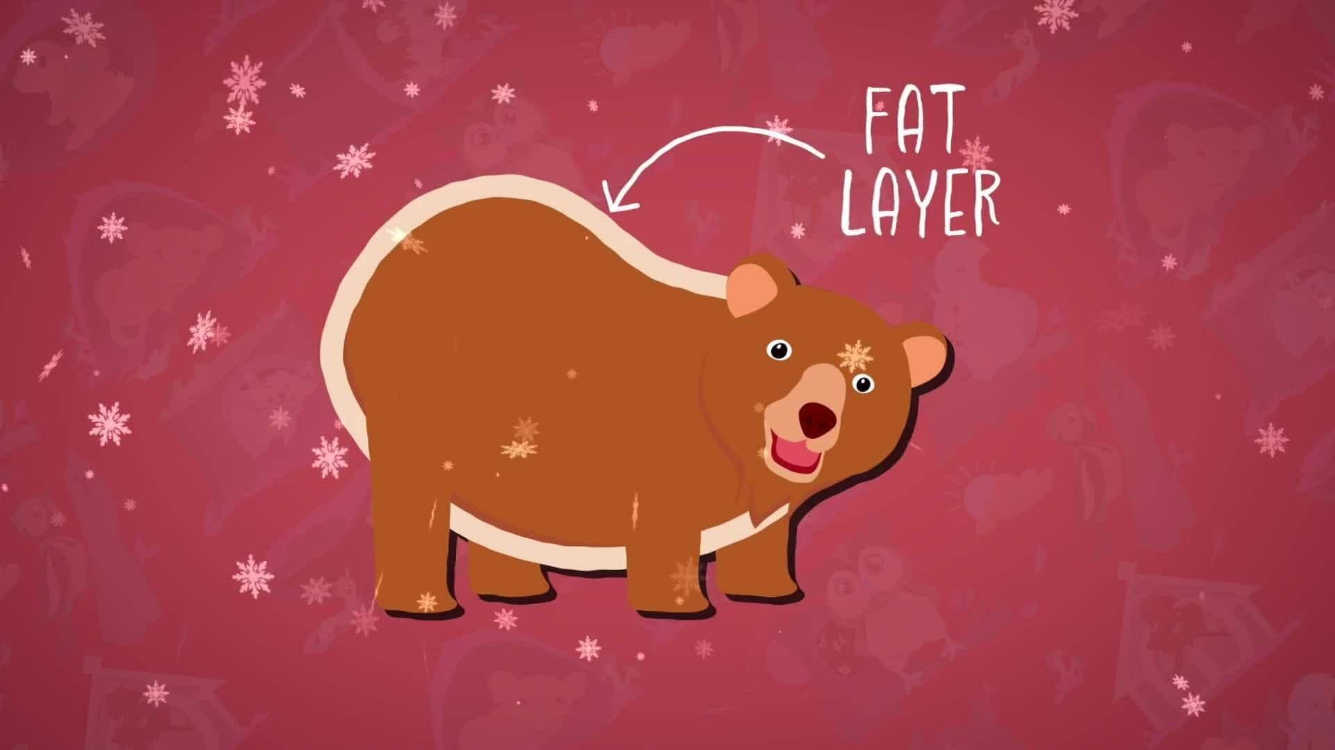 High Five Facts - Hibernation