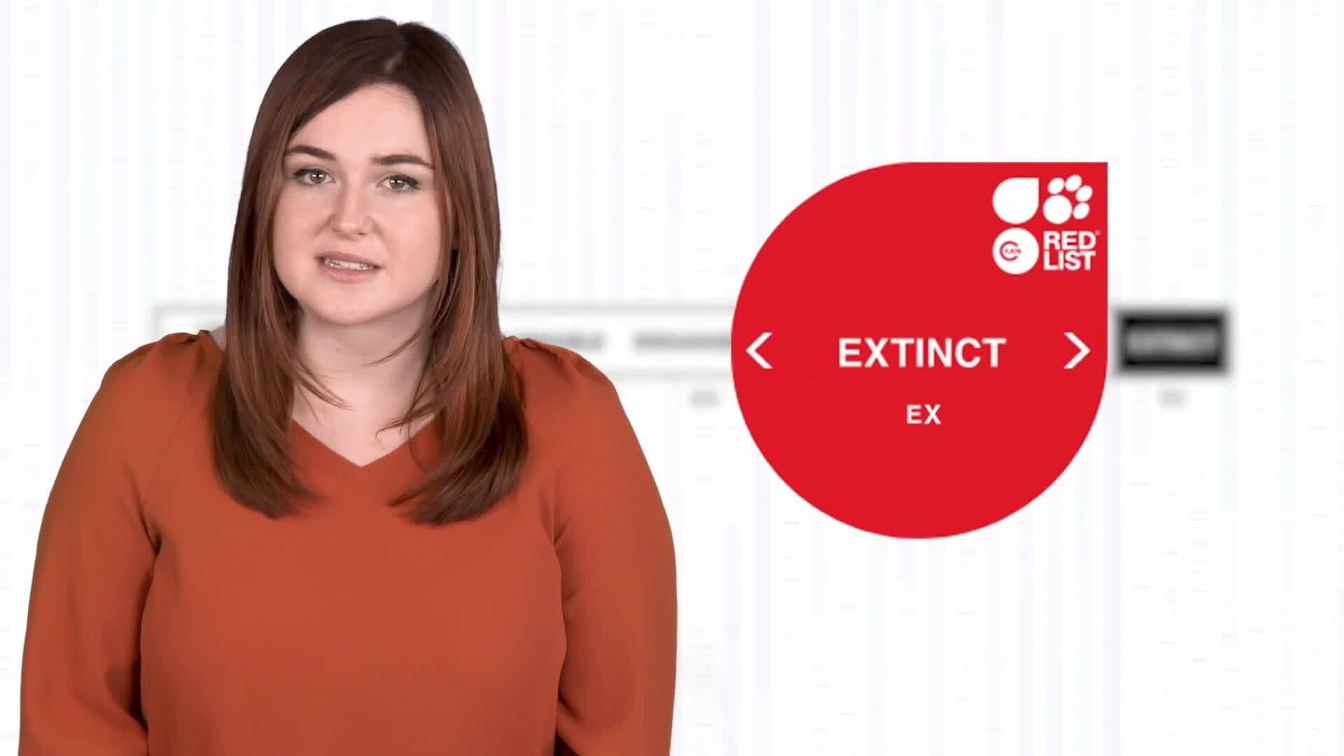 On the Brink: The Reality of Endangered and Extinct Species