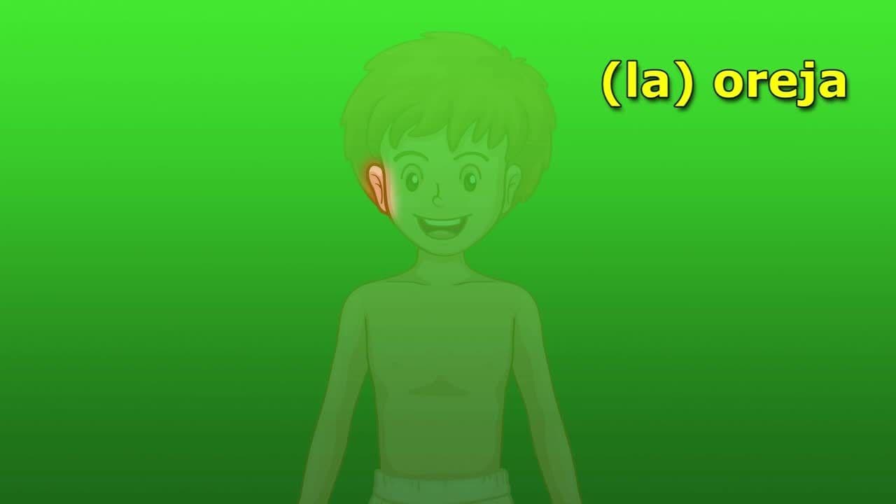 Intro Spanish Lesson: Parts of the Body Part I