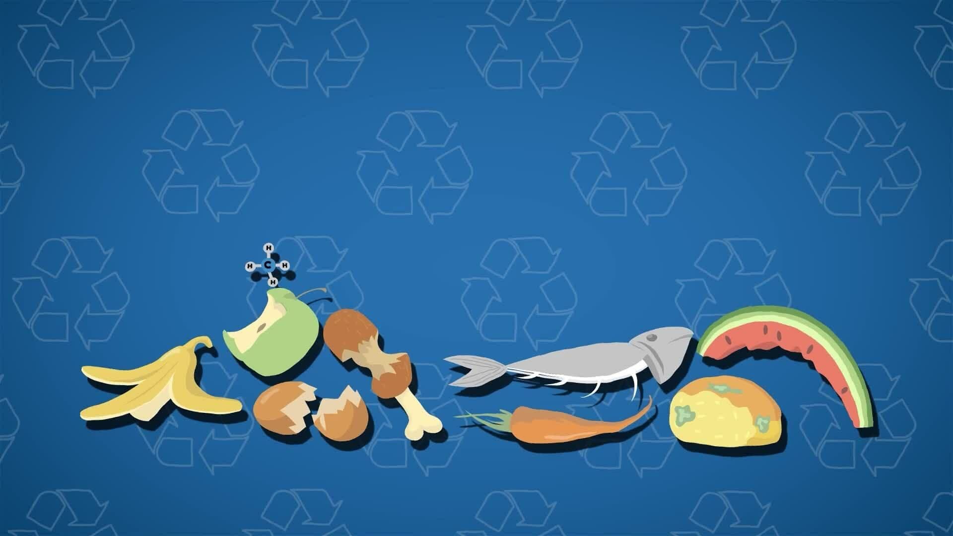 I WONDER - What Issues Does Wasting Food Create?