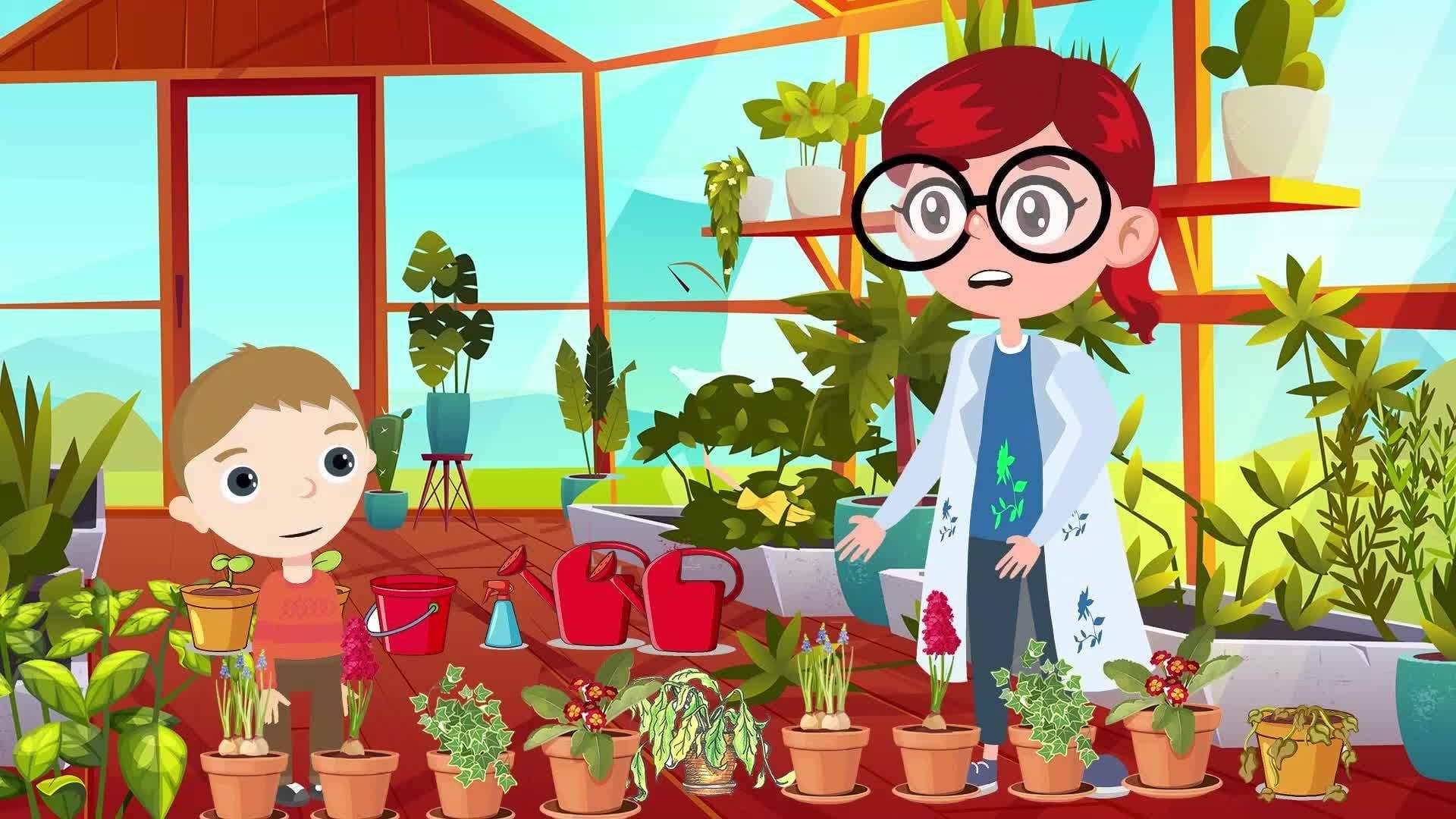 How Plants Grow