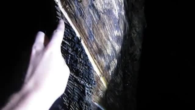 Where does Rubber come from? | Maddie Moate