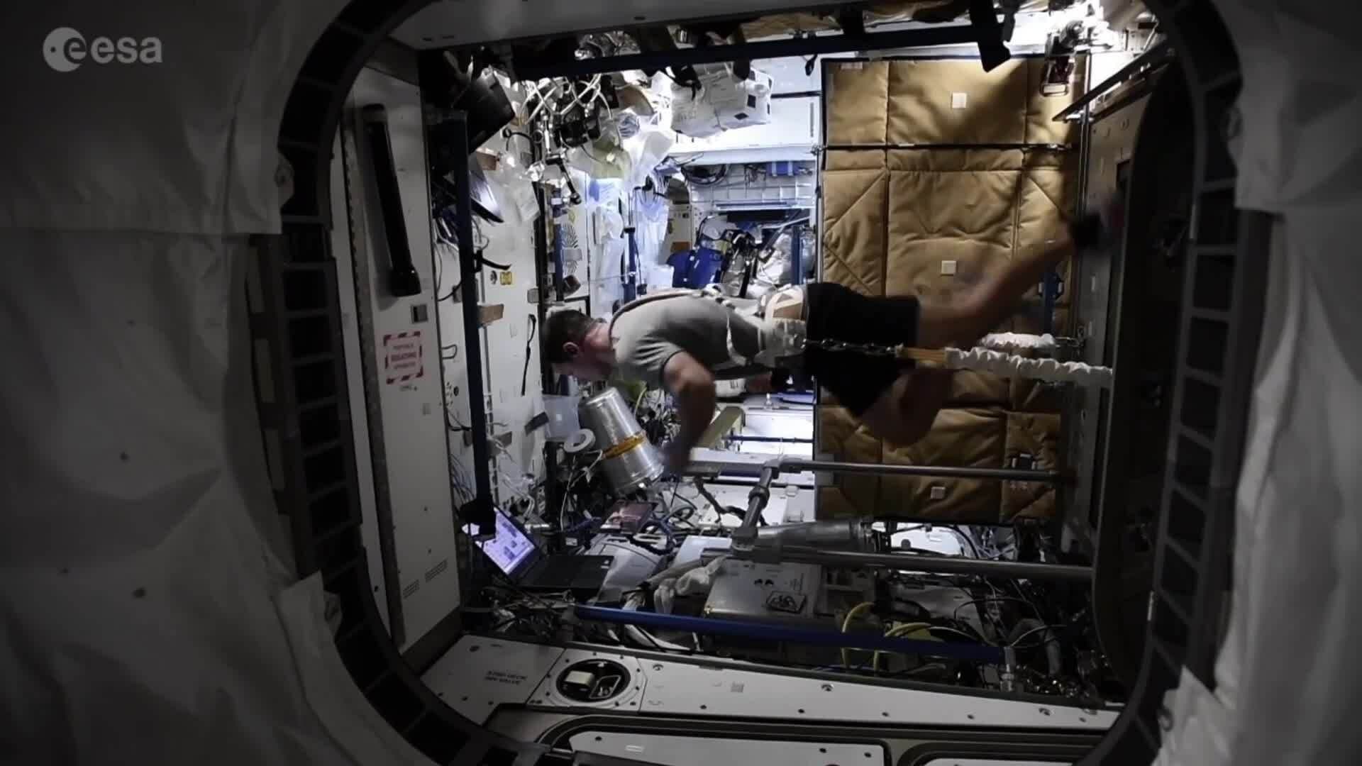 I WONDER - Do Astronauts Exercise In Space?