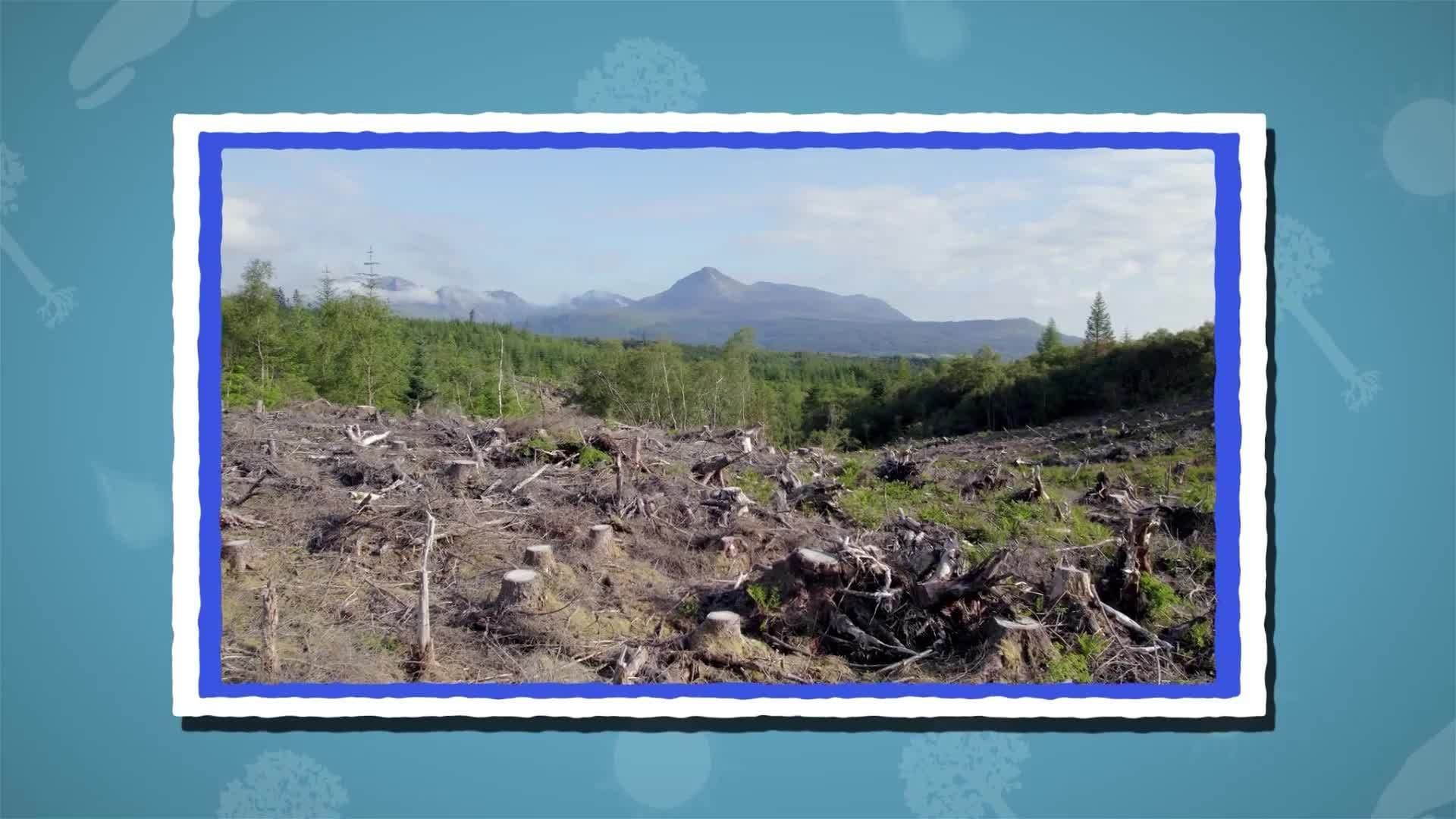 I WONDER - What Causes Droughts?