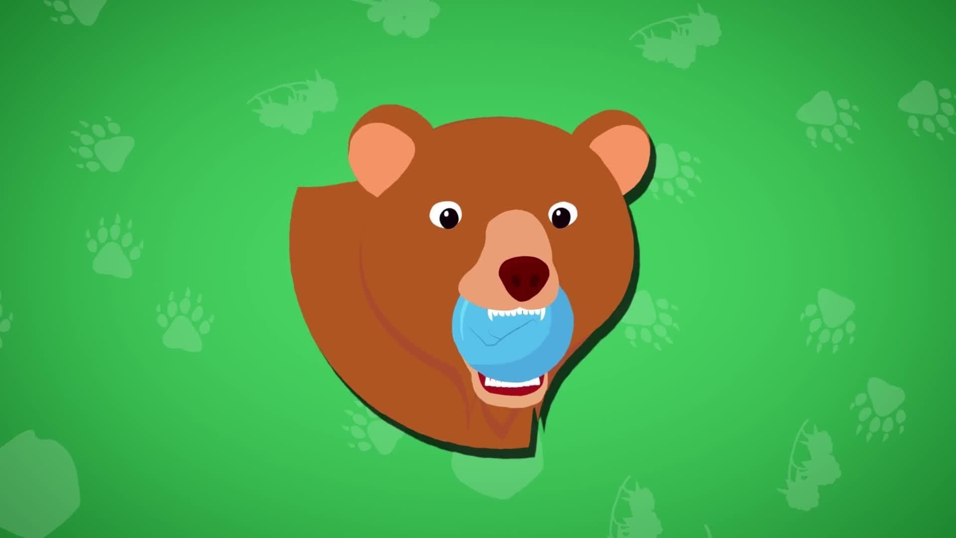 Bear Facts