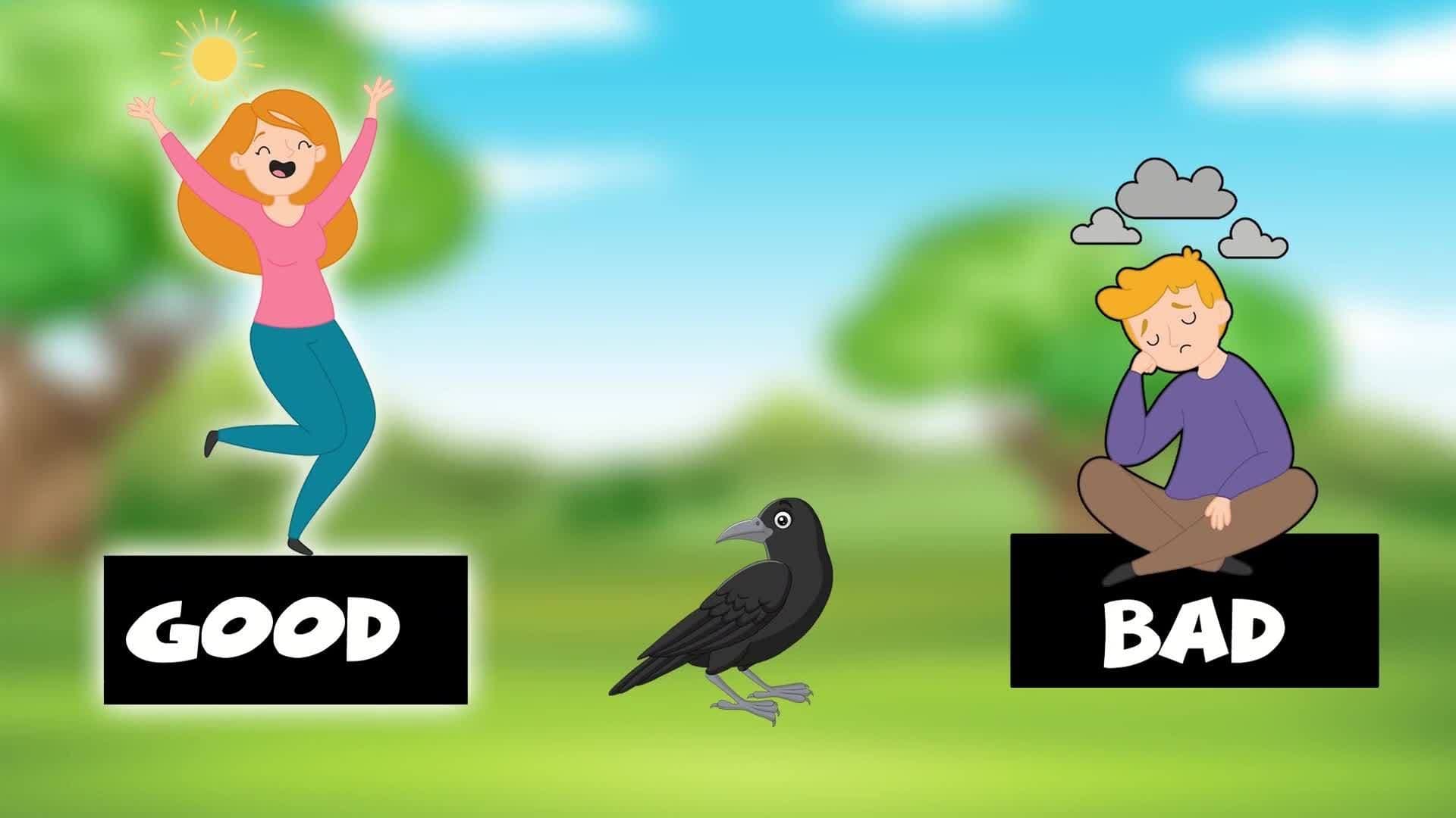 Bird Stories