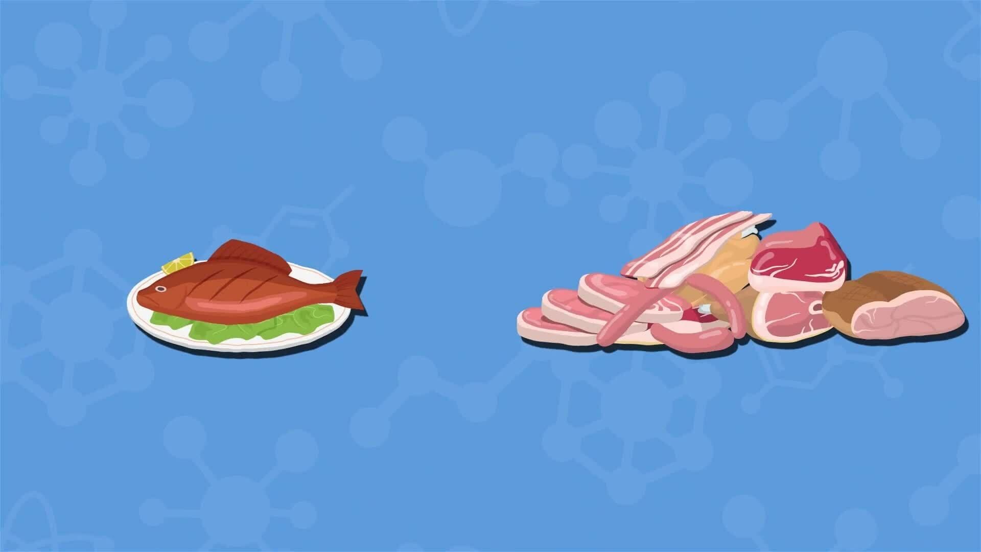I WONDER - What Foods Contain Protein?
