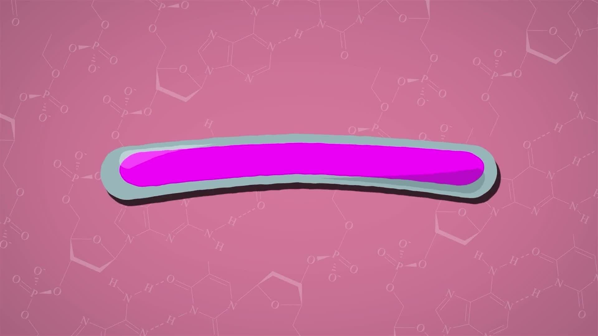 I WONDER - How Fast Do Chemical Reactions Occur?