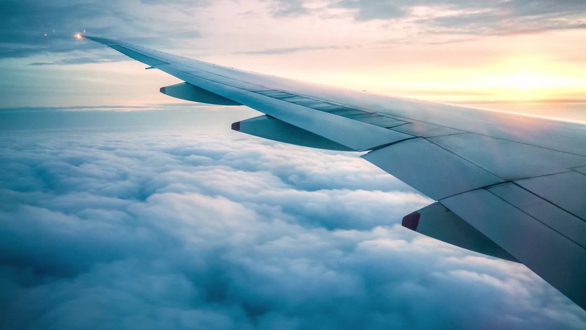 Science Kids: Pressure and Forces of Flight