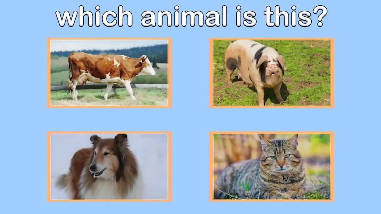 Farm Animal Sounds for Children with Quiz