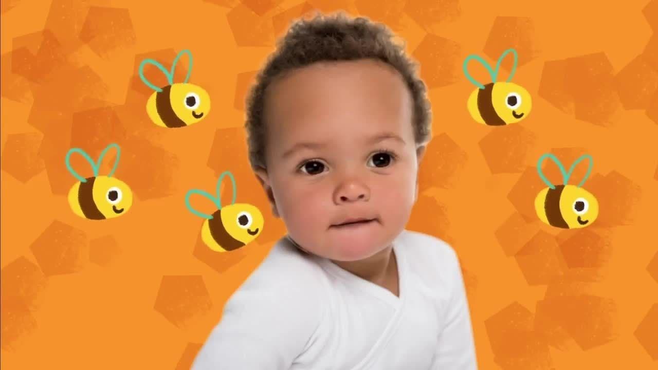 Here is the Beehive | Kids Song | Bee Song for Children | The Kiboomers