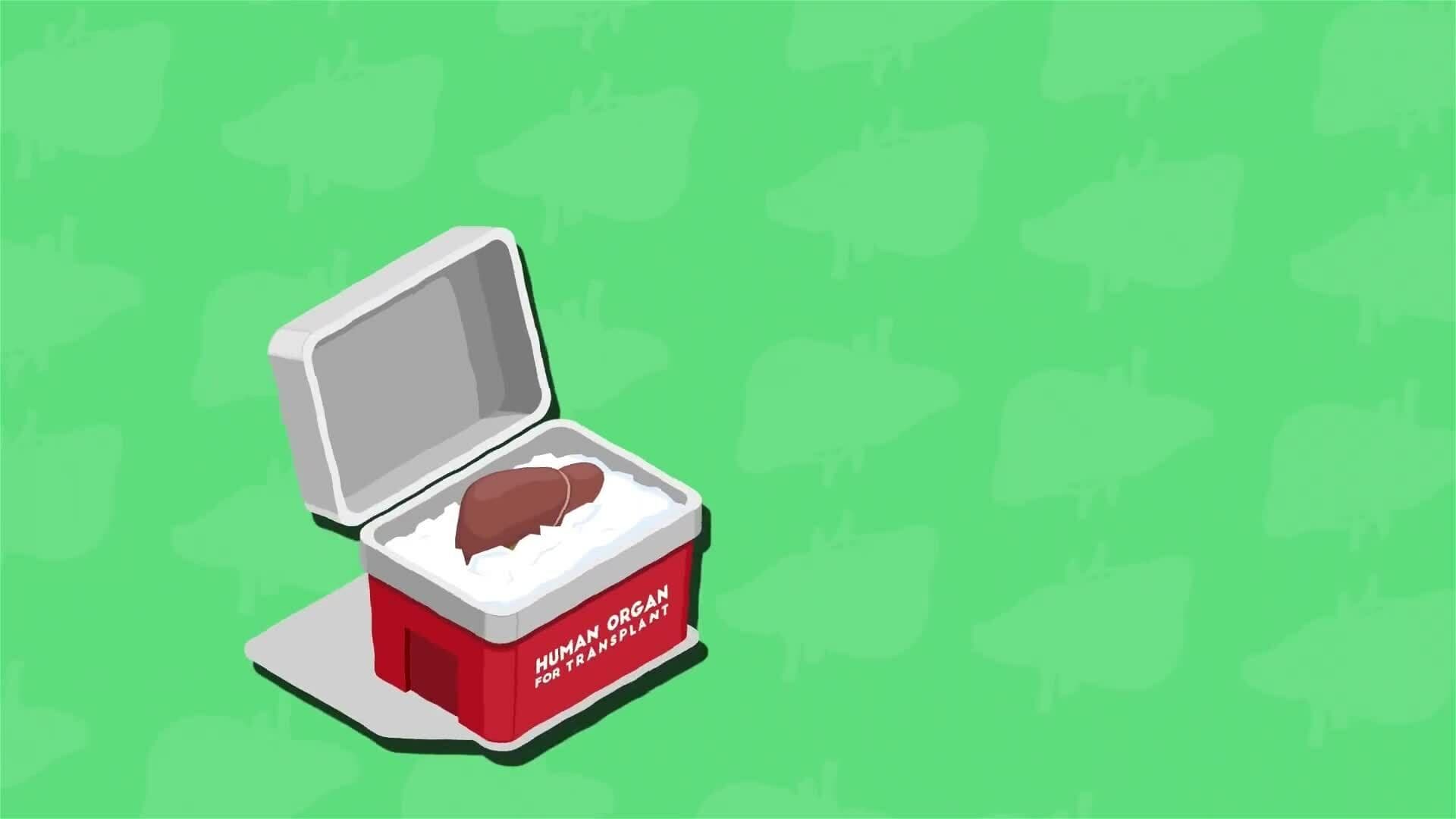 I WONDER - What Happens When The Liver Gets Damaged?