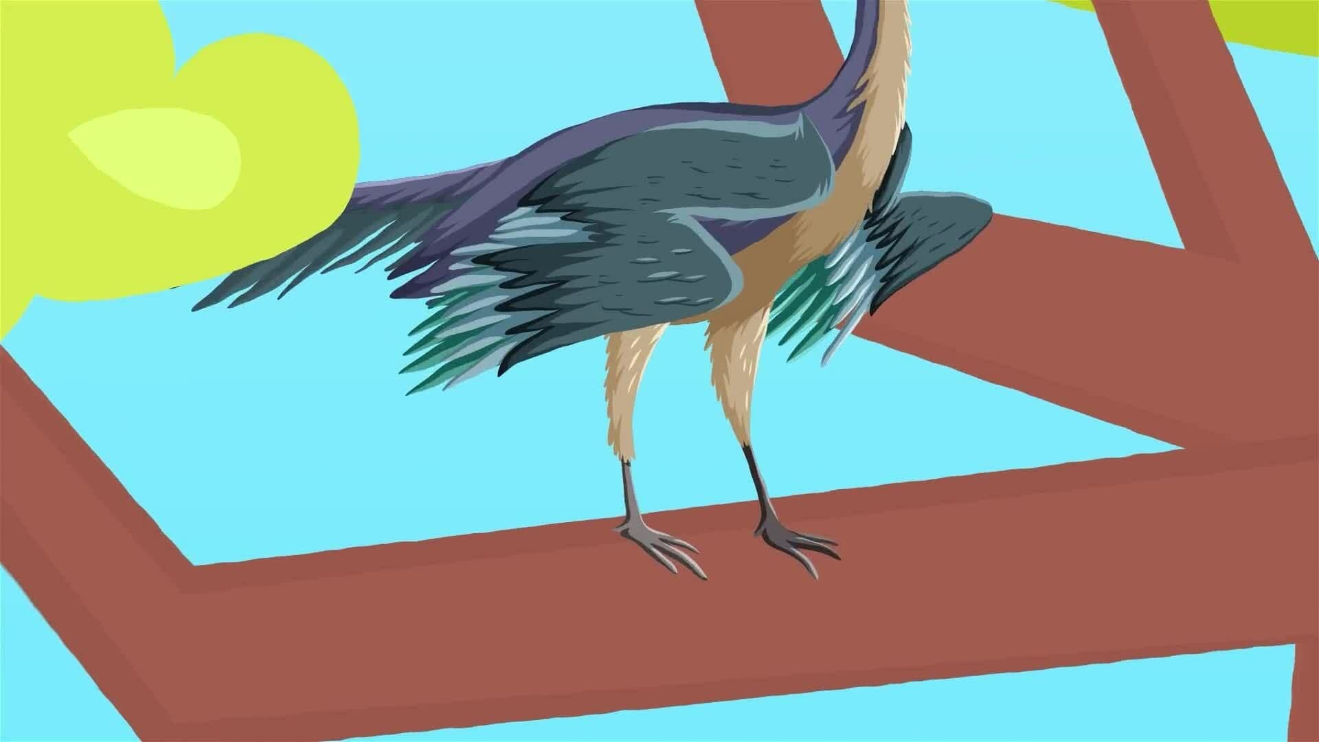 I WONDER - Did The Archaeopteryx Have Any Special Features?
