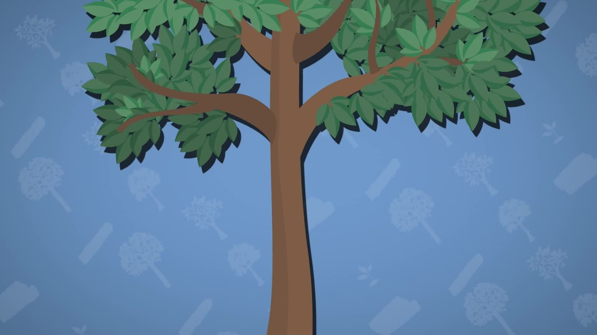 High Five Facts - Deforestation