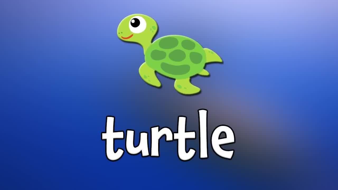 Beach Animals!  Learn Beach Animals for Kids