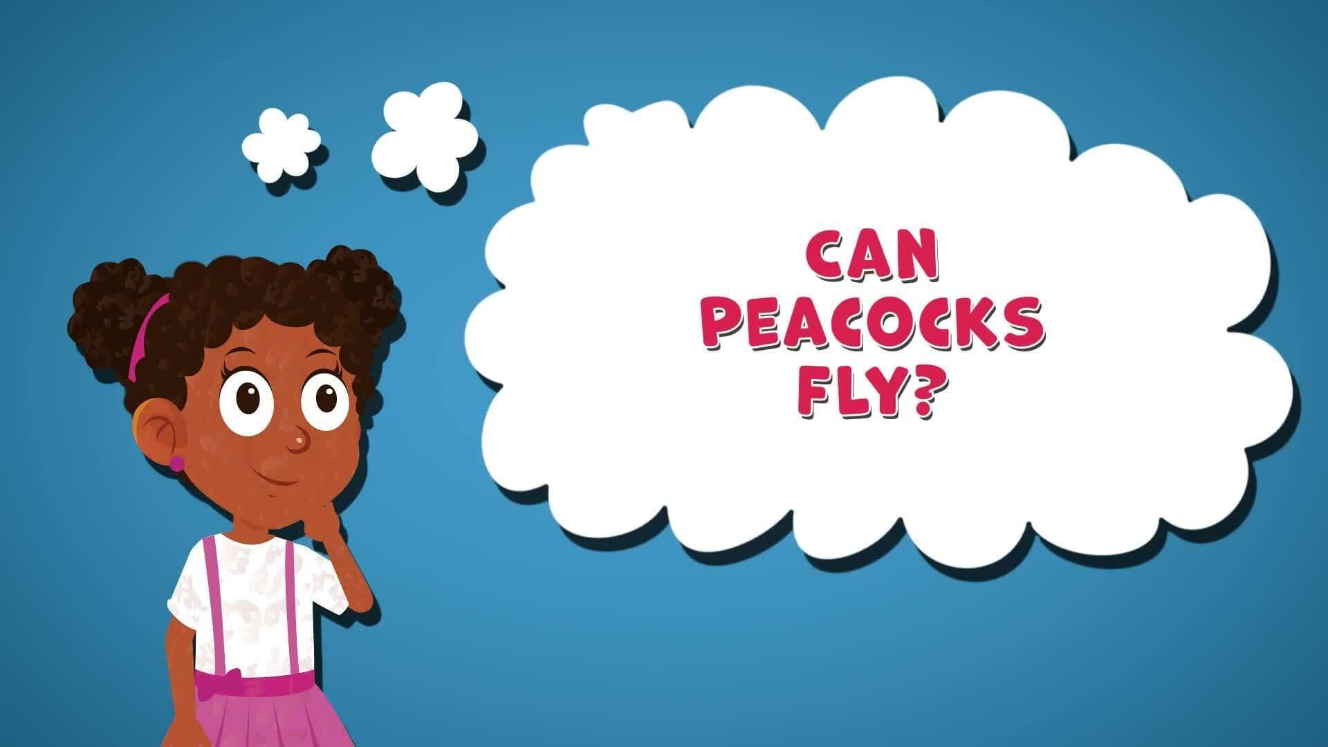 I WONDER - Can Peacocks Fly?