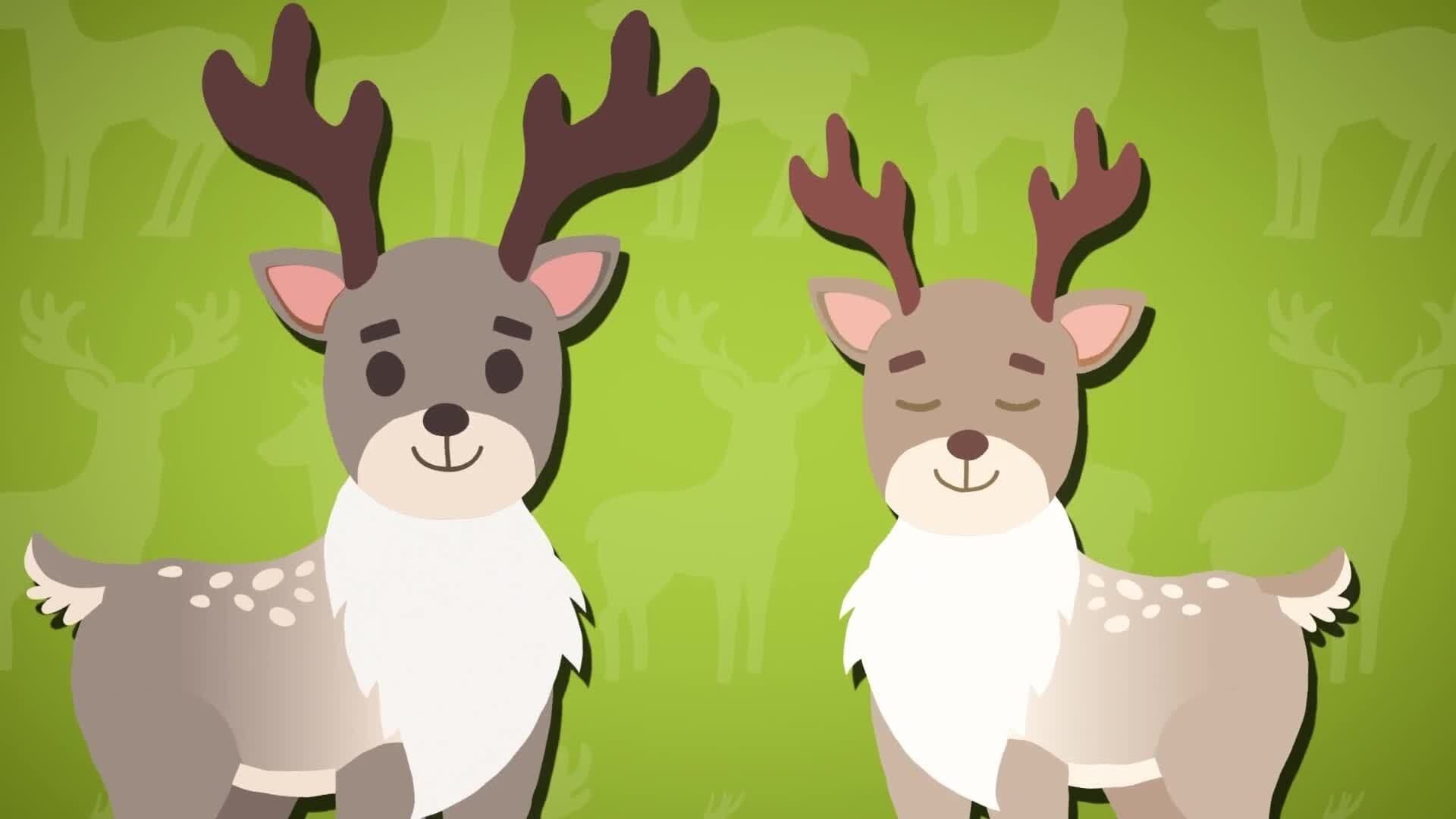 I WONDER - Do All Reindeers Have Antlers?