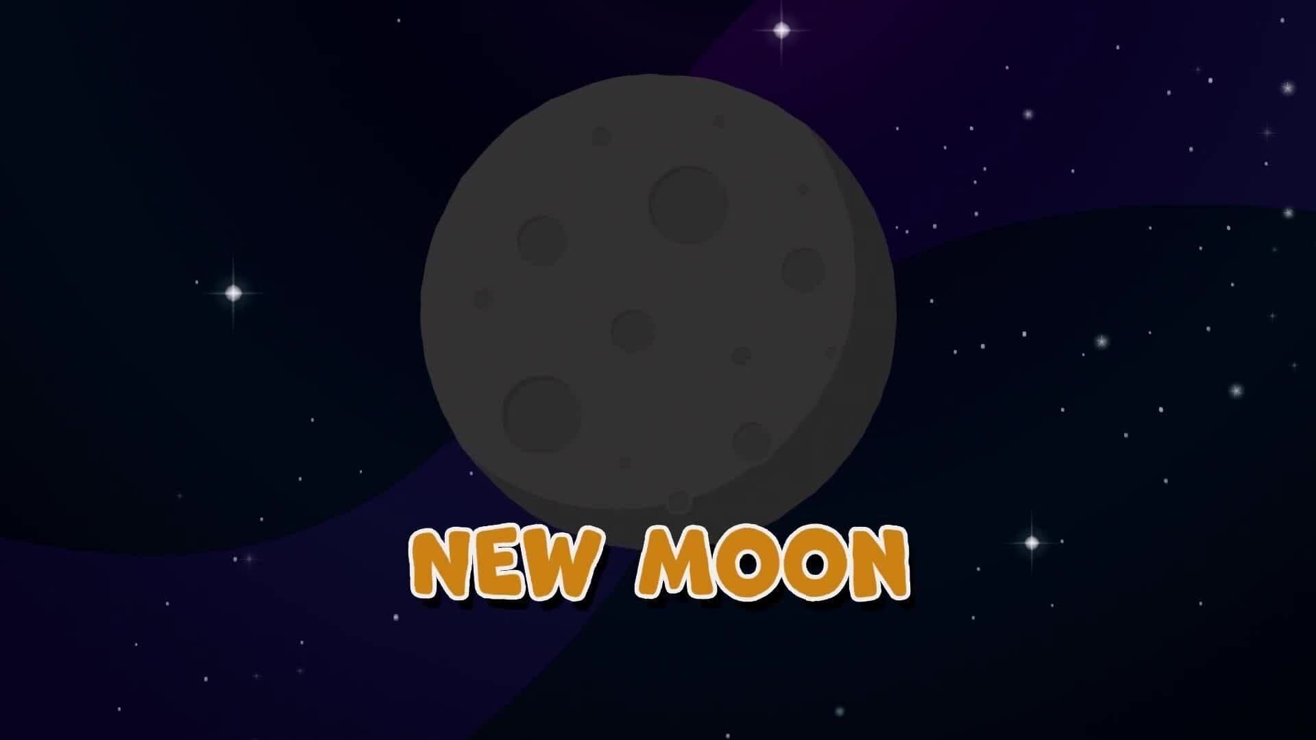 I WONDER - What Are The Phases Of The Moon?