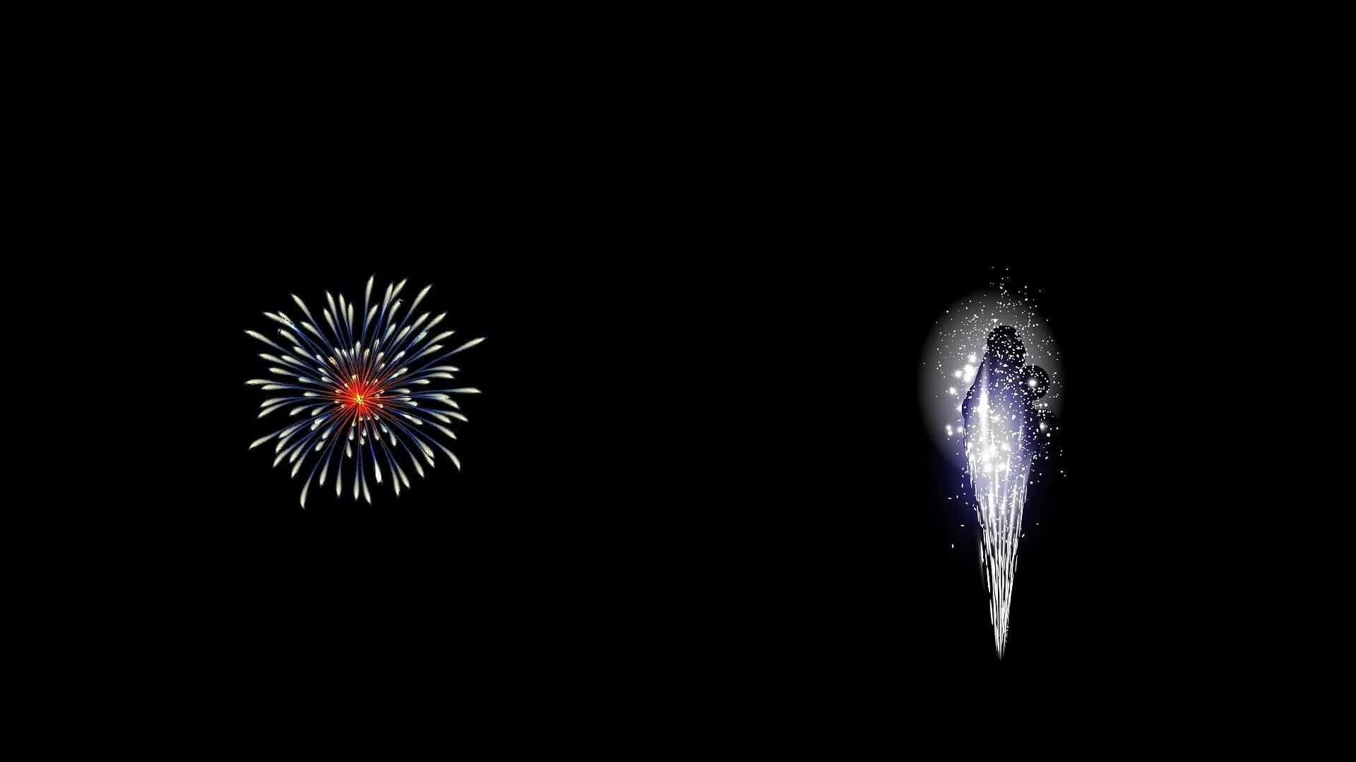 I WONDER - Are There Different Types Of Fireworks?