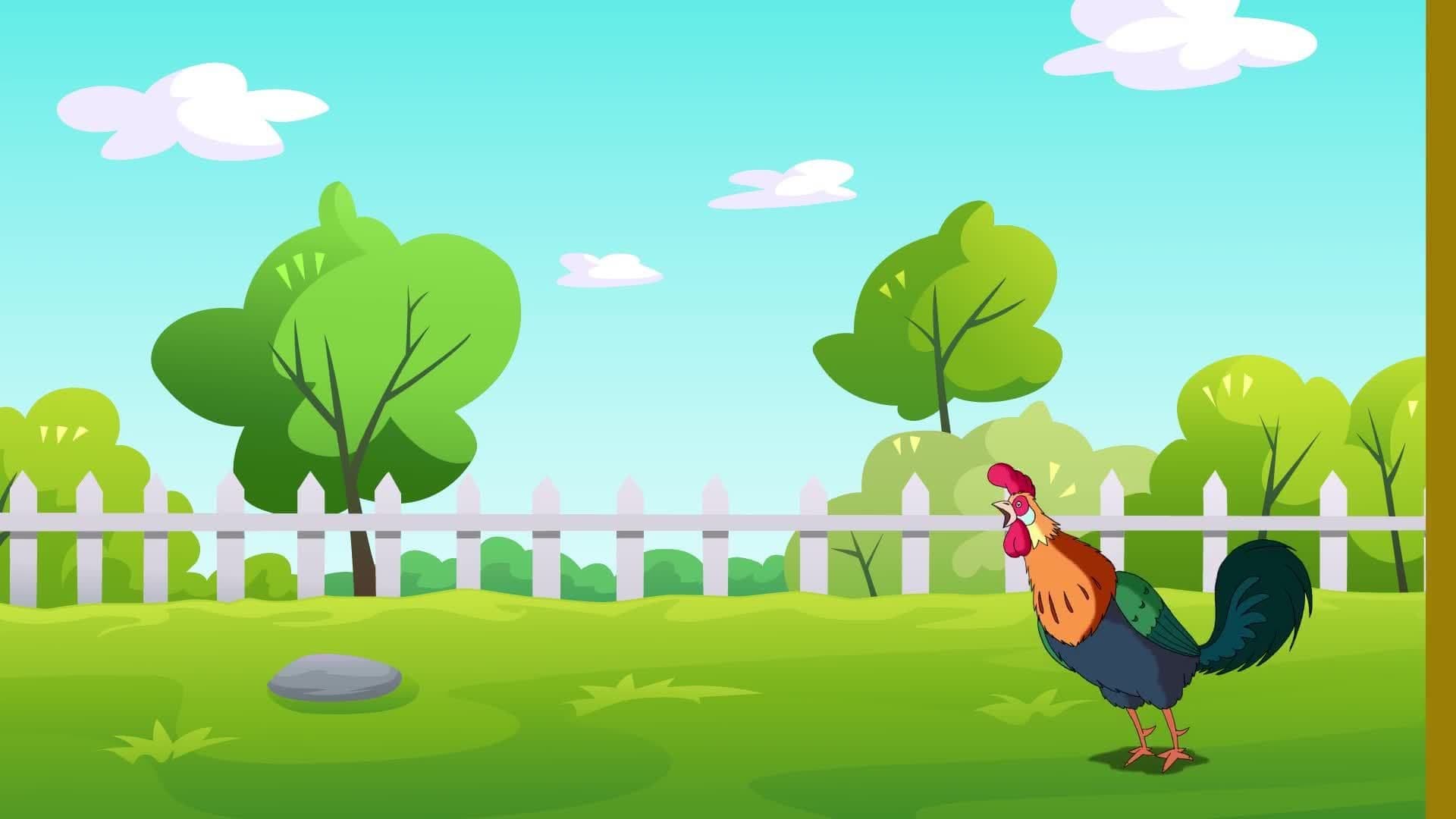 What is a Bird?